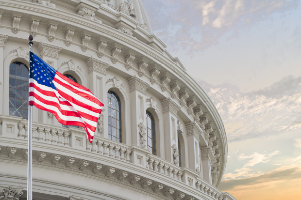 Capitol Building in Washington DC